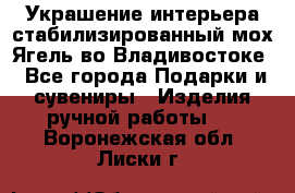 Украшение интерьера стабилизированный мох Ягель во Владивостоке - Все города Подарки и сувениры » Изделия ручной работы   . Воронежская обл.,Лиски г.